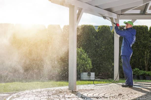 Pre-Holiday Cleaning in Rosenhayn, NJ
