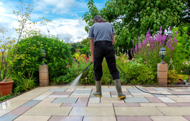 Professional Pressure Washing in Rosenhayn, NJ