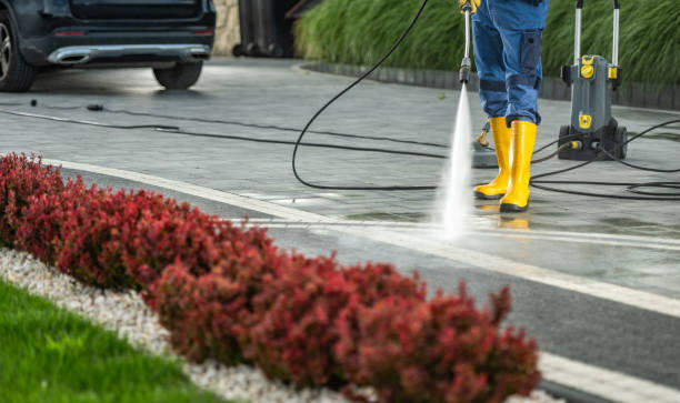 Best Post-Construction Pressure Washing  in Rosenhayn, NJ